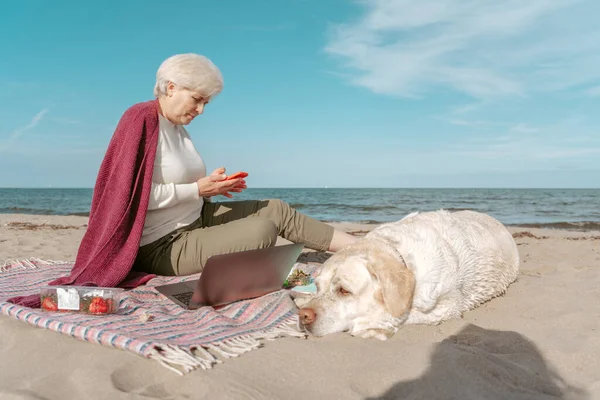 彼女のスマートフォンの画面と悲しい犬を見ているシニア女性彼女の横に砂の上に横たわる — ストック写真