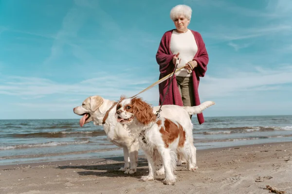 Beautiful elderly lady standing on the beach and holding her two pets on the leash