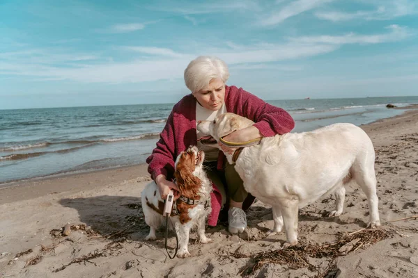 Grijsharige Dame Zittend Haar Haunches Het Zandstrand Knuffelend Haar Twee — Stockfoto