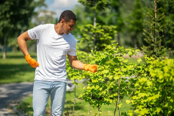 Resultaat Glimlachende Donkere Man Met Beschermende Handschoenen Die Bladeren Van — Stockfoto