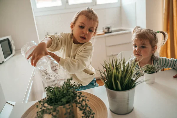 Focused Female Child Seated Kitchen Table Watching Her Sister Pouring —  Fotos de Stock