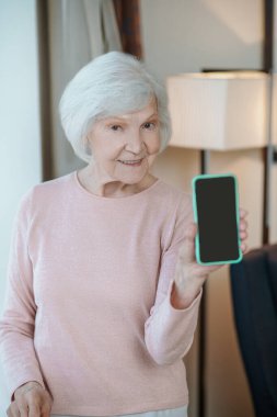 Modern lady. Gray-haired senior woman with a smartphone in hands