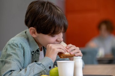 Lunch. Dark-haired boy eating sandwich in a school canteen