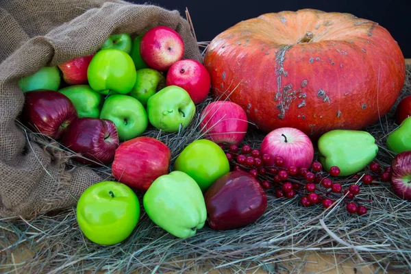 Gröna Röda Äpplen Och Apelsinpumpa Ligger Höet Klar Solig Dag — Stockfoto