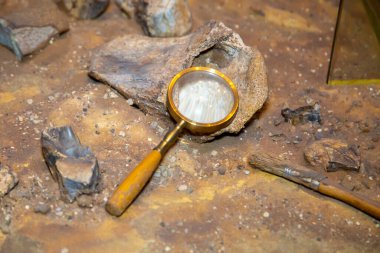 Bir büyüteç, soyu tükenmiş hayvanların kemikleriyle kumdaki bir fırça. Paleontoloji arkeolojisi Dünya 'nın gelişiminin tarihi.