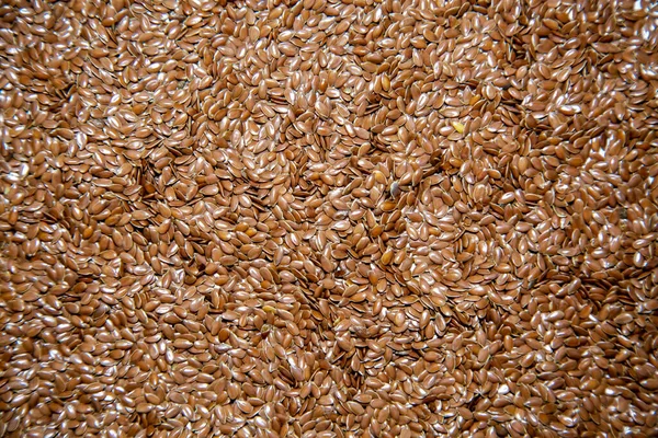 Background Flax Seeds Latin Lnum Usitatssimum Brown Beautiful Seed Shapes —  Fotos de Stock