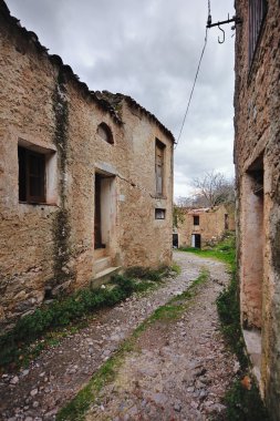 eski osini