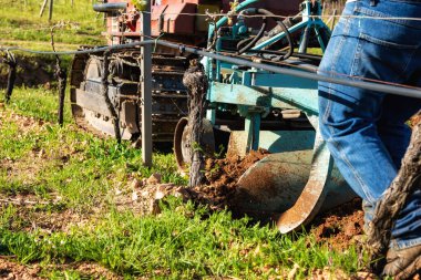 Çiftçi tarlayı sürerken aynı zamanda üzüm bağını sürüngen traktörüyle sürüyor. Tarım endüstrisi, şaraphane. 