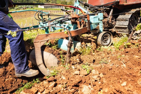 Agricultor Conduce Arado Mientras Araba Viñedo Con Tractor Orugas Industria — Foto de Stock