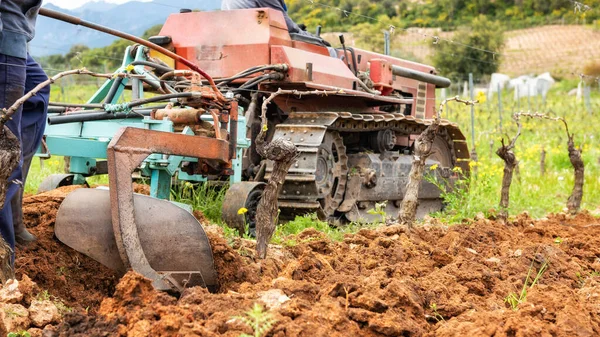 Agricultor Conduce Arado Mientras Araba Viñedo Con Tractor Orugas Industria — Foto de Stock