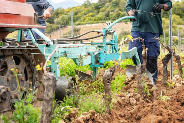 Agricoltore Guida Aratro Mentre Arare Vigna Con Trattore Cingolato Industria — Foto Stock