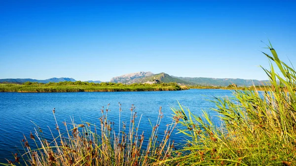 Panoramautsikt Över Posada Dammen Tepilora Regionalpark Oförstörd Natur — Stockfoto