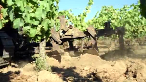 Summer Plowing Vineyard Crawler Tractor Agricultural Industry Winery — Stock Video