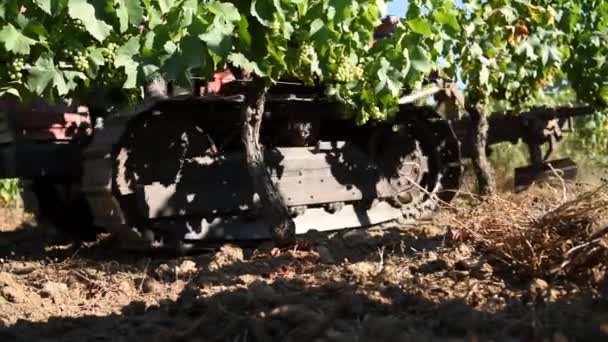 Sommerpflügen Des Weinbergs Mit Dem Raupentraktor Landwirtschaftliche Industrie Weingut — Stockvideo