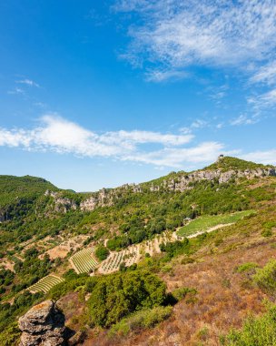 Mountain landscape with the cultivation of vineyards for the production of wine, Sardinia, Italy. Traditional agriculture. Vertical video.