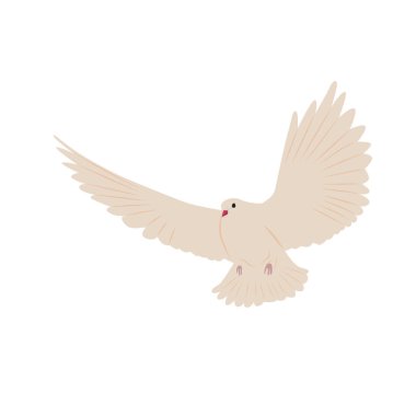 Beyaz uçan güvercin, barış sembolü, beyaz arka planda izole edilmiş gerçekçi vektör çizimi