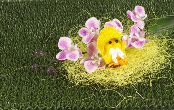 Easter — Stock Photo, Image