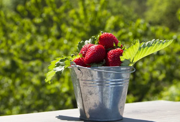 Aardbeien — Stockfoto