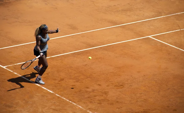 Serena Williams — Fotografie, imagine de stoc