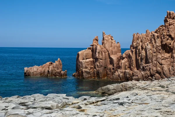 Sardinie na šířku — Stock fotografie