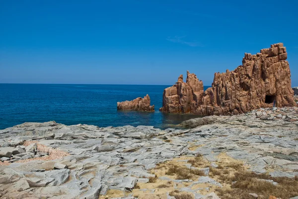 Sardinie na šířku — Stock fotografie