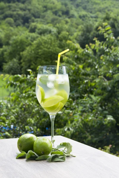 Mojito Ordförande — Stockfoto