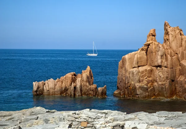 Sardinie na šířku — Stock fotografie