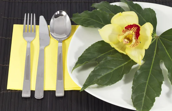 Plate and cutlery — Stock Photo, Image