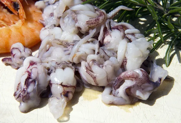 Seafood segar — Stok Foto