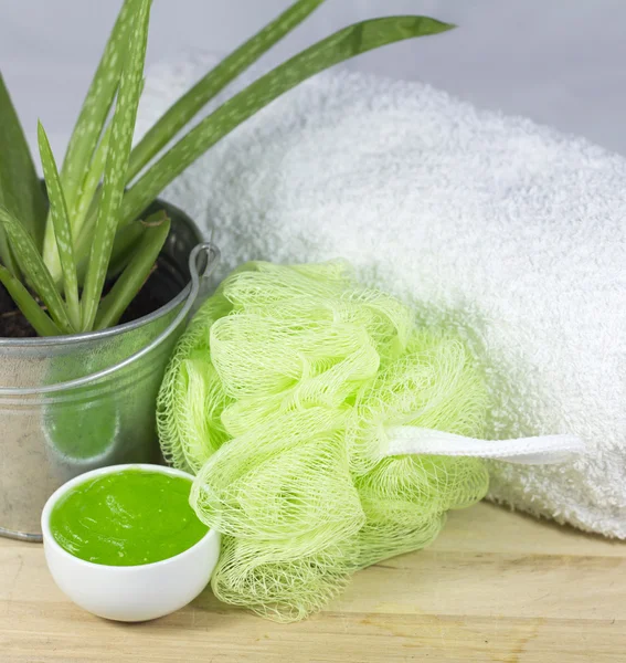 Spa Aloe — Foto Stock