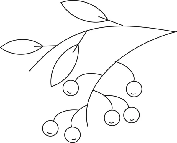 Βάλτε Βατόμουρο Κλαδιά Φύλλα Και Μούρα Bilberry Whortleberry Huckleberry Hurtleberry — Φωτογραφία Αρχείου