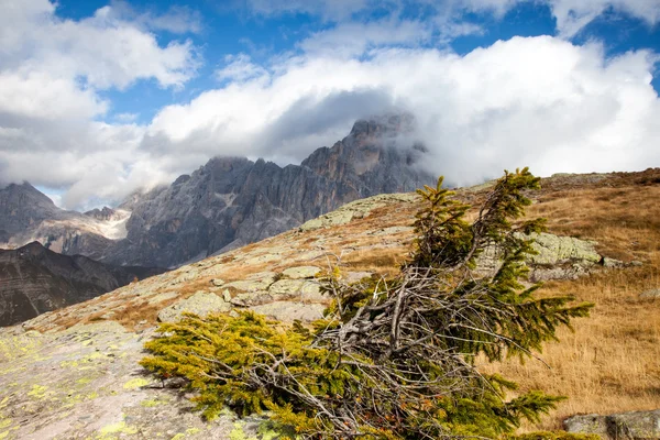 Dolomiti — Foto Stock