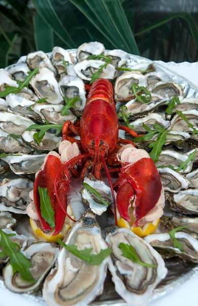 Lagosta e ostras, frutos do mar frescos — Fotografia de Stock