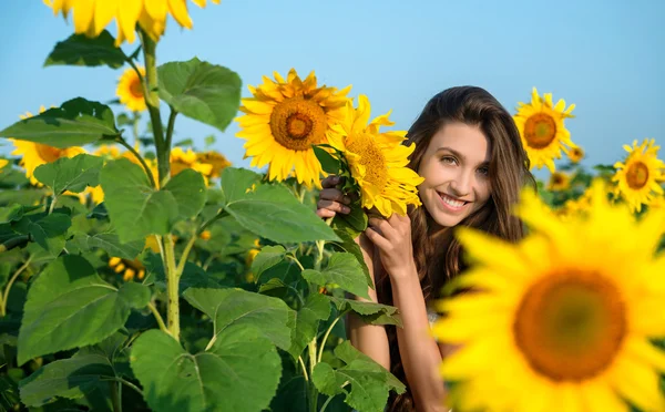 Beautiful young woman with sunflower posing in the sunflowers fi — Stock Photo, Image