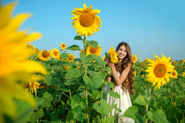 Hermosa joven con girasol posando en los girasoles fi — Foto de Stock