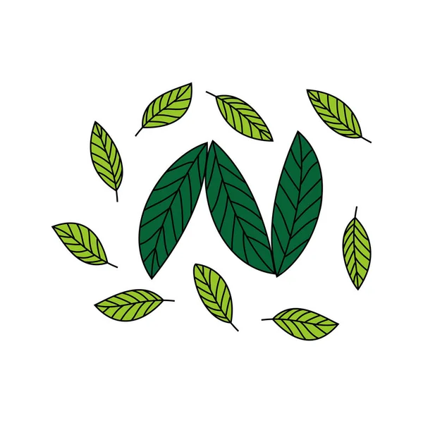 Natur Logo Vorlage Initiale Zeichen Und Symbol Vektor Illustration — Stockvektor