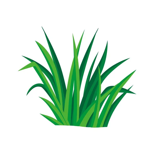 Grasdesign Vektor Illustration Grünpflanze Wächst Hof — Stockvektor