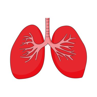 Akciğer ikonu vektör çizimi. İnsan organı işareti ve sembolü.