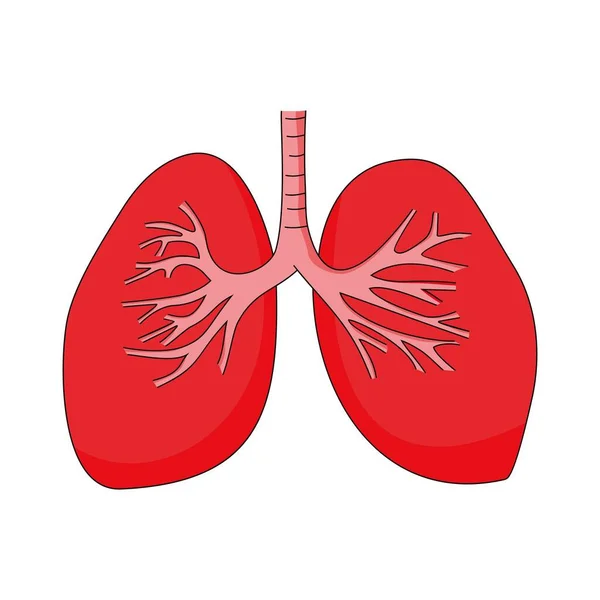 Ilustración Vector Icono Pulmonar Órgano Del Cuerpo Humano Signo Símbolo — Archivo Imágenes Vectoriales