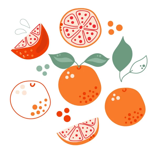 Set Pomelos Planos Dibujados Mano Naranjas Ilustración Moderna — Archivo Imágenes Vectoriales