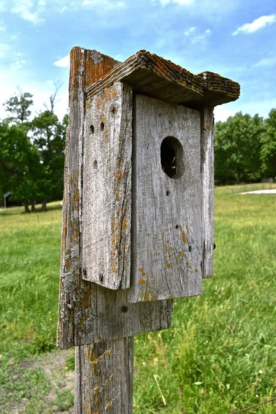 Old Weathered Bird House Attached Post Grassy Pasture — Stockfoto