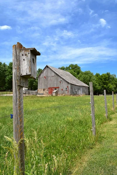 Old Wood Bird House Attached Post Grassy Pasture Old Horse — Stock Photo, Image