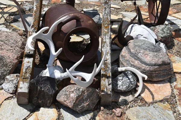 Deer Antlers Rusted Out Old Cream Can Serve Patio Decoration — Foto Stock