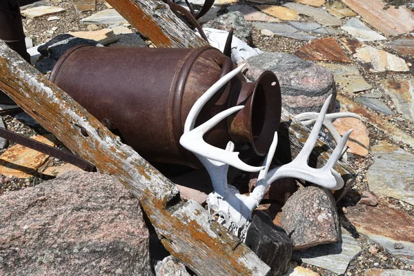 Deer Antlers Rusted Out Old Cream Can Serve Patio Decoration — Stock Fotó