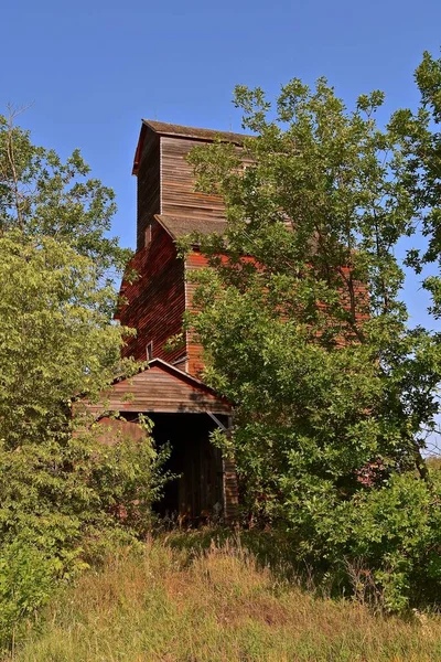 Starý Červený Opuštěný Obilný Výtah Obklopuje Nový Porost Stromů — Stock fotografie