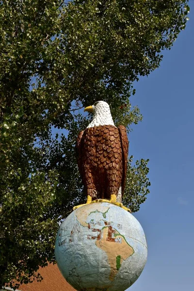 Bonanzaville Dakota Del Norte Septiembre 2021 Águila Calva Encaramada Globo —  Fotos de Stock