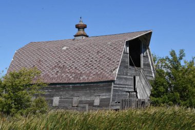 Çok eski bir ahır çürüyor ve bakımsız bir halde eski bir mandıra çiftliğinin anılarını canlandırıyor..