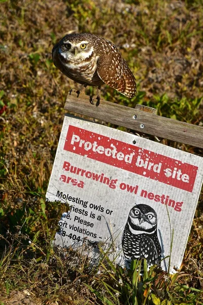 Das Schild Weist Auf Einen Schützenden Vogelstandort Für Die Florida — Stockfoto