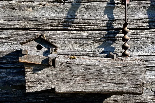一只孤独的蚱蜢在一只金丝雀和鸟舍之间的一块风化的木板上 — 图库照片