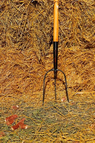 一种木制的手柄 在稻草堆的衬托上装有三副节拍叉透镜 — 图库照片
